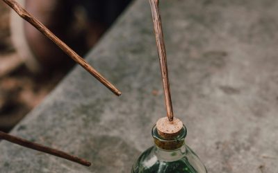 Herbal Wards: Protecting Your Home’s Energetic Perimeter